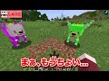 最強のドラゴンに成長してハンターを倒せ！？【マインクラフト】