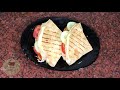 Oats Tortilla Wrap Recipe | Oats Roti | Veg Wrap | Oats Tortilla Wrap | Oatmeal Flatbread |