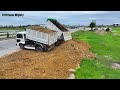 Start new Project !! Filling Up The Land huge, Transaction By Bulldozer KOMATSU D31p & Dump Truck