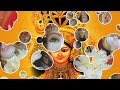 लांगुरिया ले चल माँ के द्वार ll माँ दुर्गा भजन ll Navratri Special Bhajan ll Geeta Tripathi K Bhajan