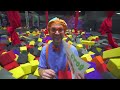 Blippi Visits an Indoor Playground | Educational Videos for Toddlers