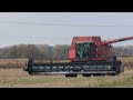 1st Time Capturing the Red Beast Killing Soybeans - Massey Ferguson 8780 #harvestchaser 4K