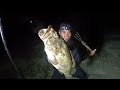 Nyuluh waktu air laut surut kering malam hari dan menombak ikan Grouper raksasa