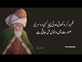 DO CHEEZAIN KHAMOSHI SE KARO | RUMI QUOTES | Rumi Aqwal |  Molana Rumi ka Farman  |  M.B Studio3317