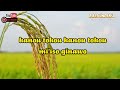 Kaamatan tokou||Official lyric audio (lirik lagu kaamatan tokou)
