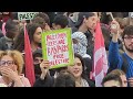 Demonstration in support of Palestine in Paris