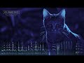 Feral Cat Sounds - The sound of cats fighting, yowling & hissing at night in Australia's bush