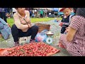 Harvesting fireballs to sell at the market - Daily life | Lý Thị Phương