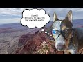 Grand Canyon  | Things to do near Page Arizona | Whitey's World