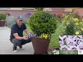 Upgrade Your Containers with this Inexpensive Idea | Gardening with the Williams'