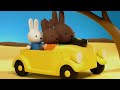 Miffy Travels to Asia | Miffy Explore the World | Animated show for kids
