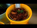 How to grow Baby Orchid Plants (Keikis) - Keiki Paste for Phalaenopsis - Orchid Care for Beginners