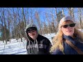 Our Sunny Winter Forest in the UP of Michigan | Life in the Keweenaw