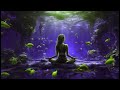 Violin Zen   Violín zen para meditación, concentración y paz mental