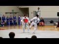 Master v. master taekwondo sparring