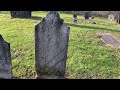 How to: Cleaning a Headstone Using D/2 Solution