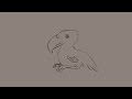 Terrorbird rough animation | Little guy included!