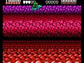 Battletoads - Turbo Tunnel