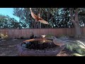 Five Minutes of Robins at the Birdbath