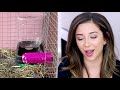 REACTING TO OUR SUBSCRIBERS RABBIT HABITATS! | PT. 2