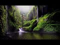 Escape the Chaos and Find Peace with This Waterfall Meditation #waterfall  #relaxation #meditation