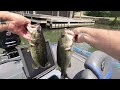 Guntersville Frog Fishing | Frog Fishing Blowups