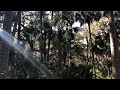 Walking to a Shell Mound on Hontoon Island, DeLand, FL