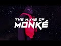 The Wave of Monke | Indie Video Game | Promo Bravo