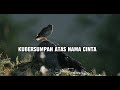 ROSSA - KUMPULAN LAGU-LAGU PILIHAN TERBAIK & TERPOPULER || ROSSA TERBARU 2024( FULL LIRIK)