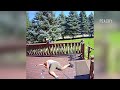 When Security Cam Goes Hilariously Wrong: Top Cam Fails Revealed!