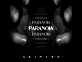 03 Final Seconds of a Dying Music Album: Paranoia