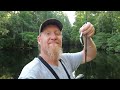 Big BLUEGILL caught in a river swamp while fishing for this!!