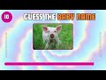Guess The Baby Name | Best Quiz Video for Baby Name | How many animal baby names do you know?