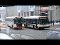 BUSES AT RUSH HOUR IN DOWNTOWN MONTREAL QC