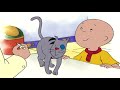 Caillou's Expedition | Caillou Cartoon