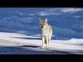 Grand Teton National Park 4K UHD - Stunning Footage, Scenic Relaxation Film with Relaxing Music