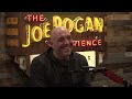 Joe Rogan Experience #1791 - Sadhguru