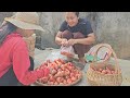 Family Life - Red Whips Sold at the Market and Dinner Cooked by Husband/Le Thi Hon