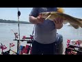 PreFishing Vicksburg (TONS OF FISH!)