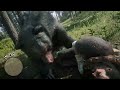 Red Dead Redemption 2 - Dual Grizzly Bear Maulings (Grin and Bear It)