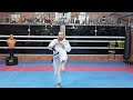 KARATE SHOTOKAN AVANÇADO | AULA 01 | TREINO INTENSO - KIHON DE TÉCNICAS