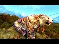 Hunting a Saber Cat on the Whiterun plains | TES V: Skyrim, Switch version.