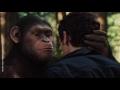 Planet of the Apes Timeline: A Damn Dirty Chronology | NowThis Nerd