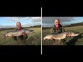 Big Pike river Wye Jan 2023 part 3