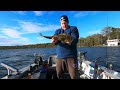 Fishing Bonnells Bay Lake Macquarie, Bream and Flathead