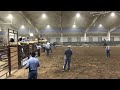My first ever saddle bronc ride 10/9/23