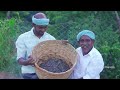 10 MILLION TINY FISHES | Ayira Meen | Rare River Fish Cleaning and Cooking In Village | Fish Recipes