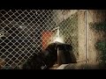 Escape From Tarkov ULTRA REALISTIC Gameplay 4K (No Commentary)