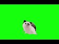 Hedgehog greenscreen meme (ima mother father gentleman)