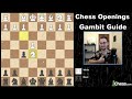 EVERY Chess Gambit for White and Black | Chess Opening Tips